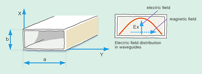 Electric field distribution in waveguides