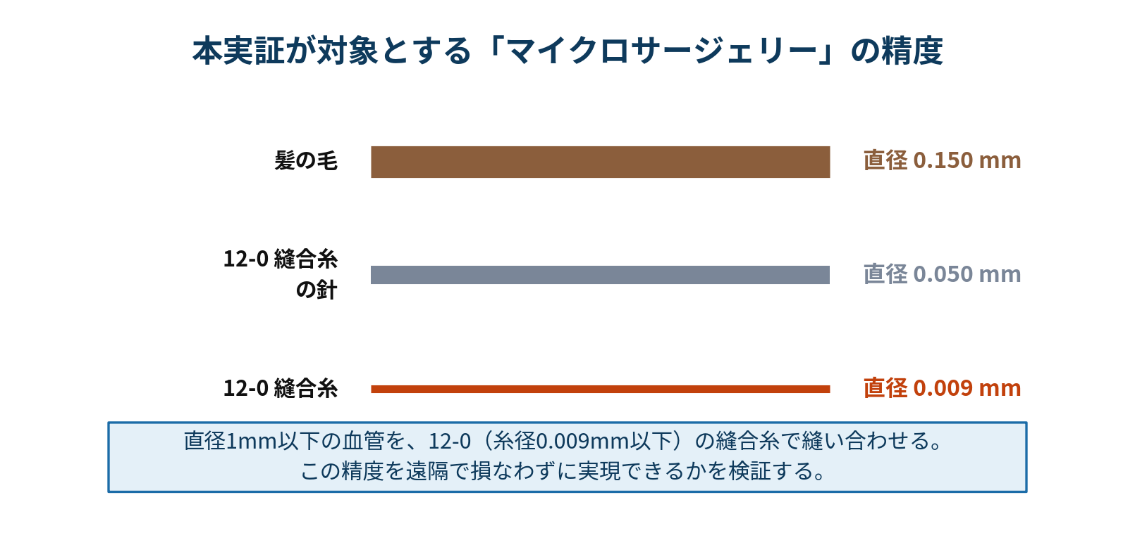 本実証が対象とする「マイクロサージェリー」の精度。直径1mm以下の血管を、12-0（糸径0.009mm以下）の縫合糸で縫い合わせる。この制度を遠隔で損なわずに実現できるかを検証する。参考情報： 髪の毛 直径0.150mm、12-0縫合糸の針 直径0.050mm、12-0縫合糸 直径0.009mm